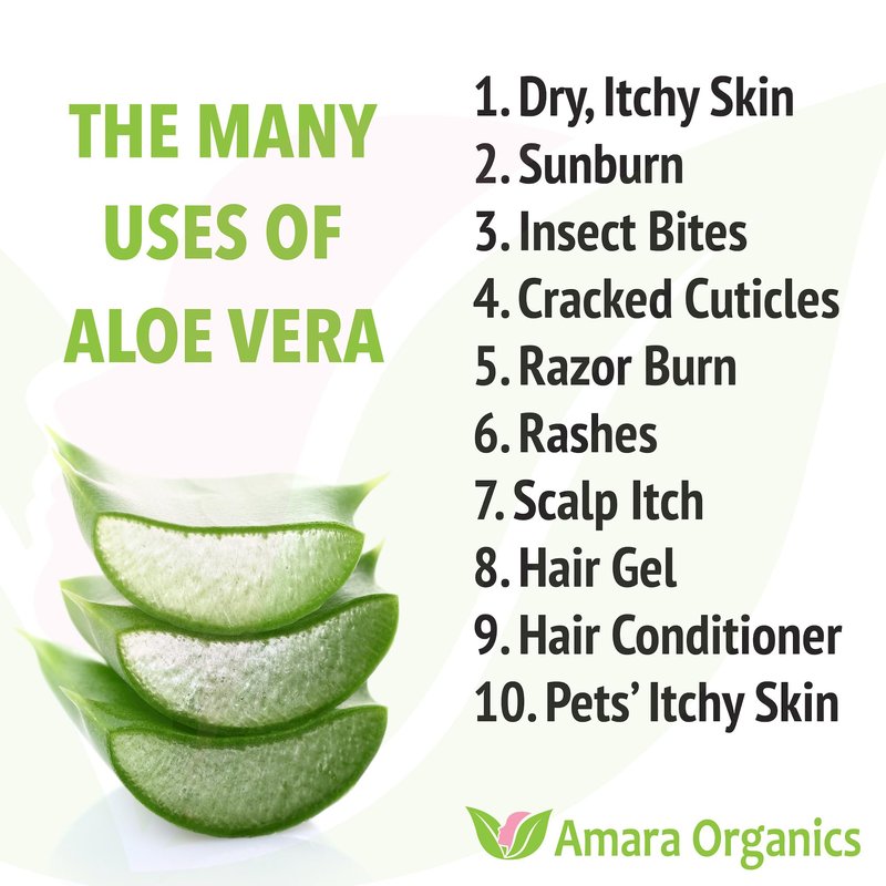 Organic Aloe Vera Gel for Skin, Face, Body, After Sun Care - USDA Certified Organic, 12 fl. oz.