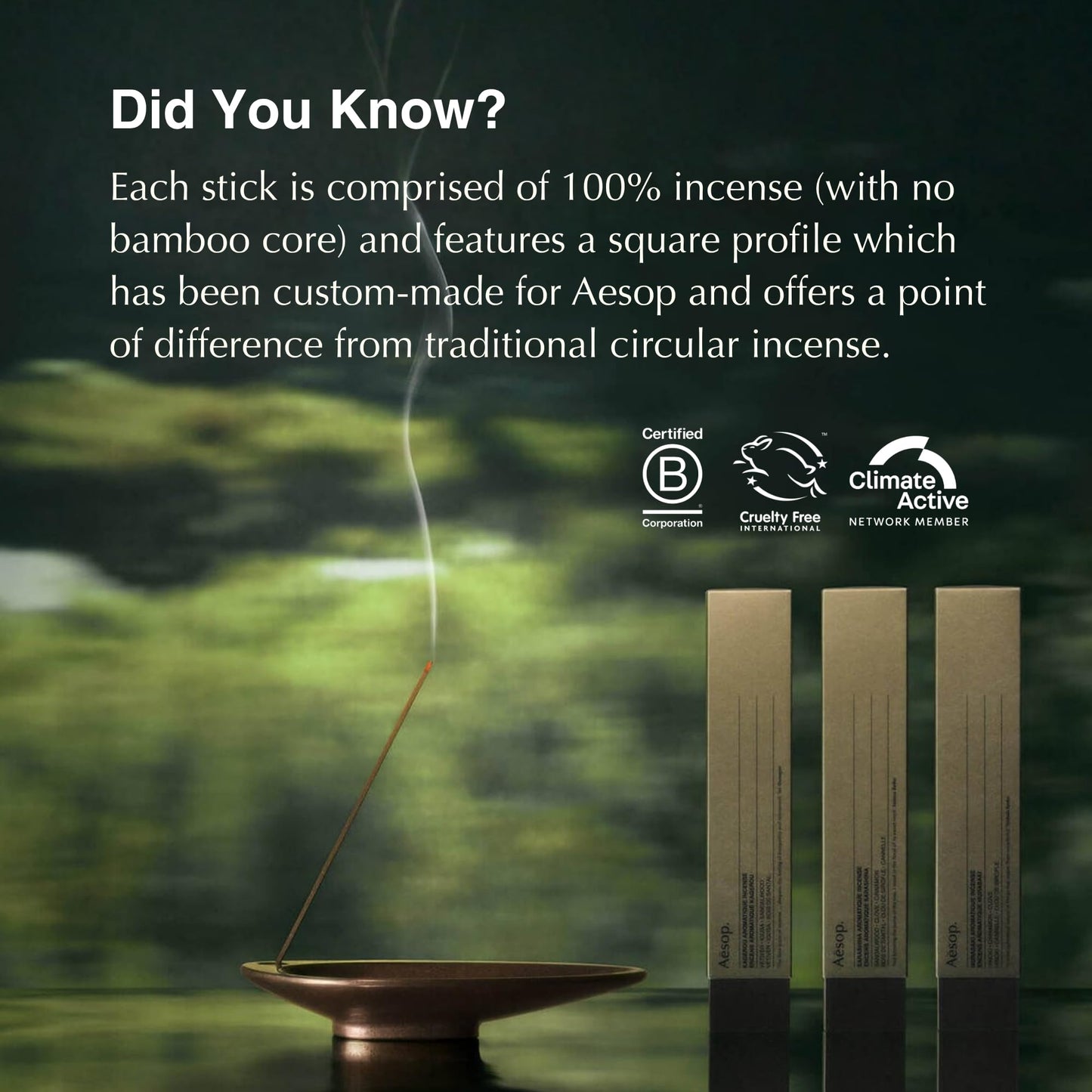 Aesop Murasaki Aromatique Incense Sticks | Woody and Spicy Aroma of Hinoki & Cinnamon| 33 Sticks, 30-Min Burn Time | Includes Kanuma Pumice Holder | Vegan, No Synthetic Fragrance