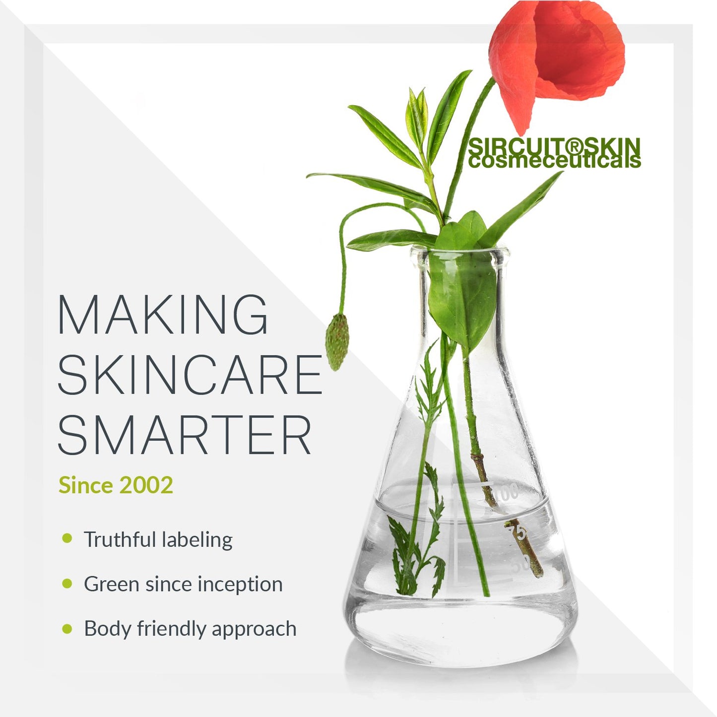 Sircuit Skin EYE TECH Anti-Wrinkle Eye Emulsion - Moisturizing Eye Treatment with Borage Oil, Echinacea Stem Cells, and Ceramide 3 - Daily Eye Moisturizer Promotes Appearance of Youthful Skin (0.5 oz)