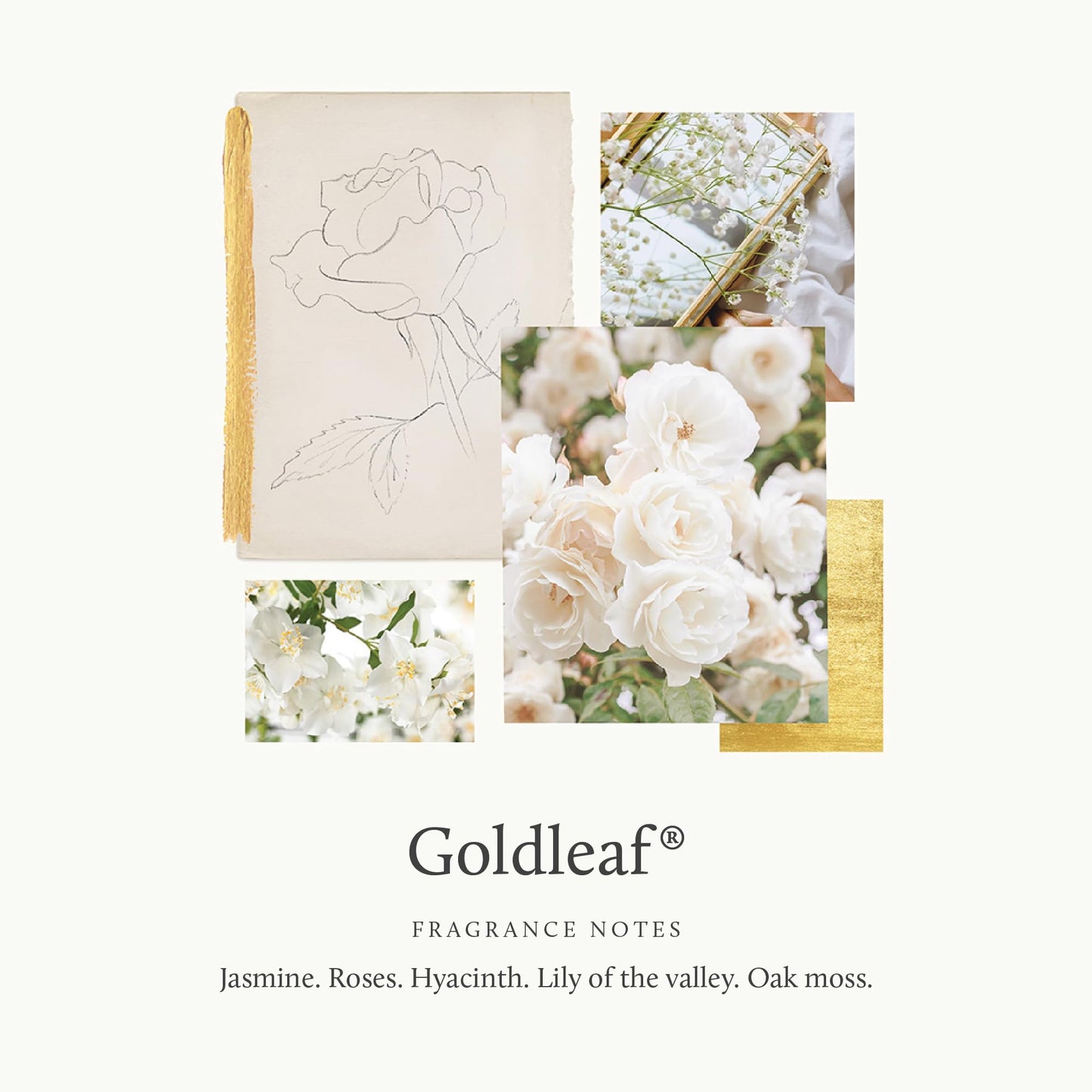 Thymes Goldleaf Eau de Parfum (1.75 fl oz)