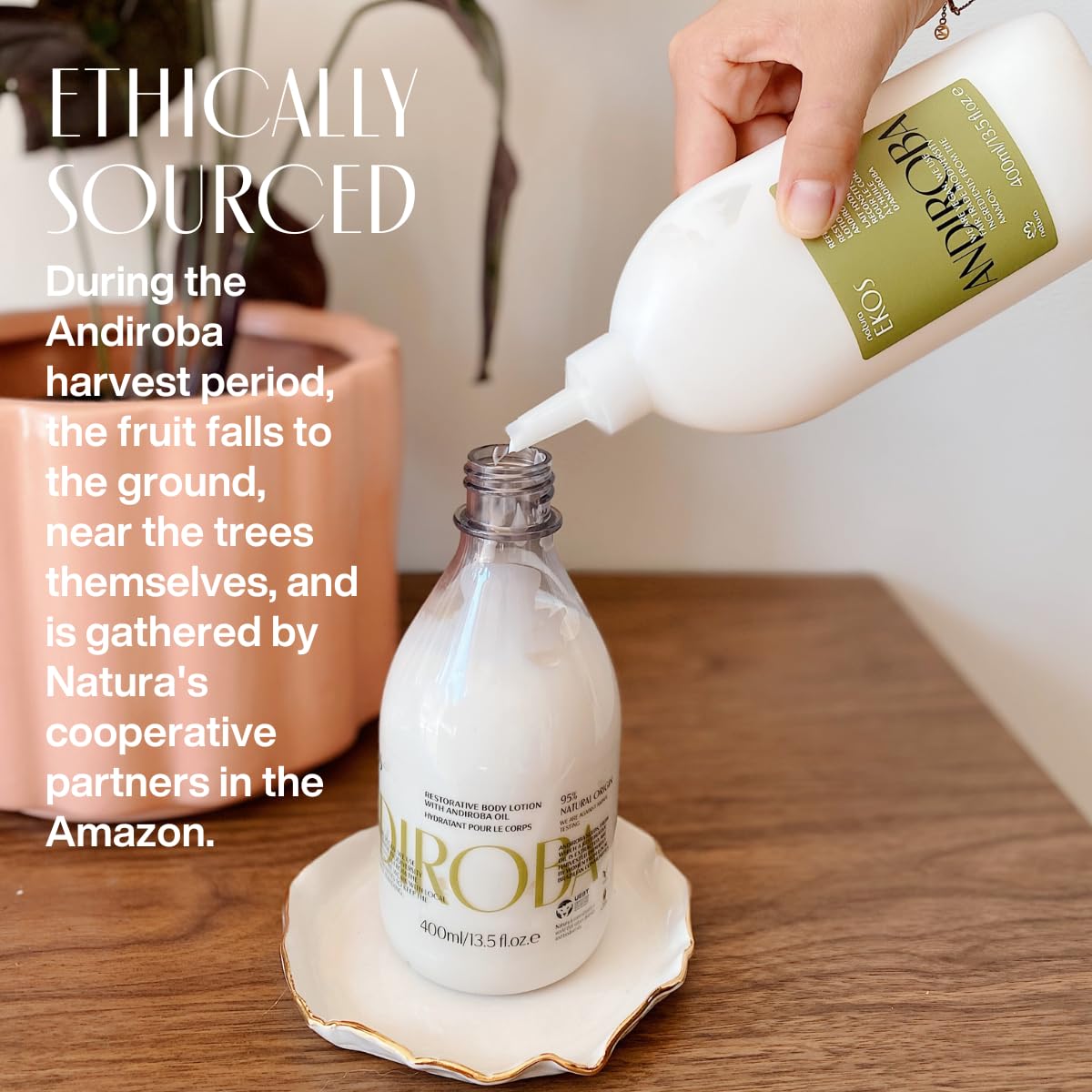 natura - Ekos Castanha (Brazil Nut) Renourishing Body Lotion - Anti-Dryness - Deep Skin Hydration Moisturizer - Vegan Skin Care - Brazilian Beauty Secrets - Self Care & Body Care - 13.5 fl oz (400ml)