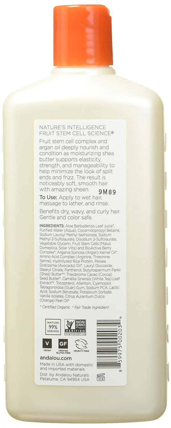 Andalou Naturals Argan Oil and Shea Moisture Rich Shampoo, Value Size, 32 Ounce
