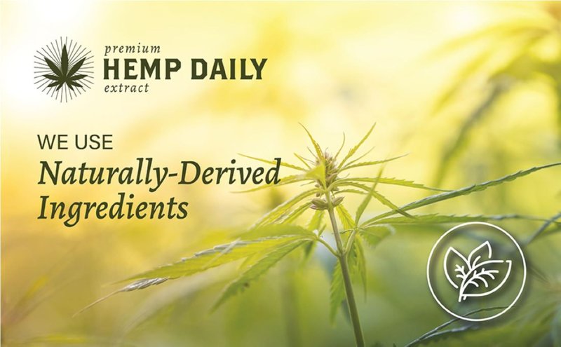 Premium Hemp Extract Daily Cream - Menthol, Argan, Jojoba, Rosehips - Lightweight, Fast-Absorbing Moisturizing Topical Lotion with Essential Oils | 1.7 Ounces (Classic Mint, Pack of 2)