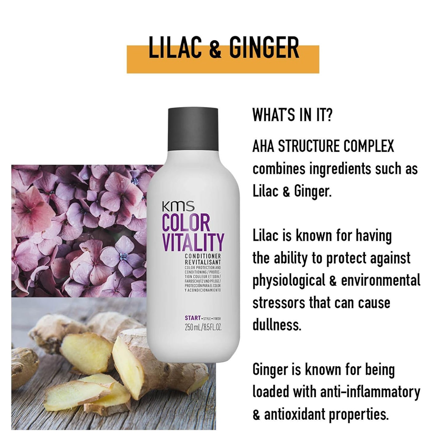 KMS Colorvitality Conditioner