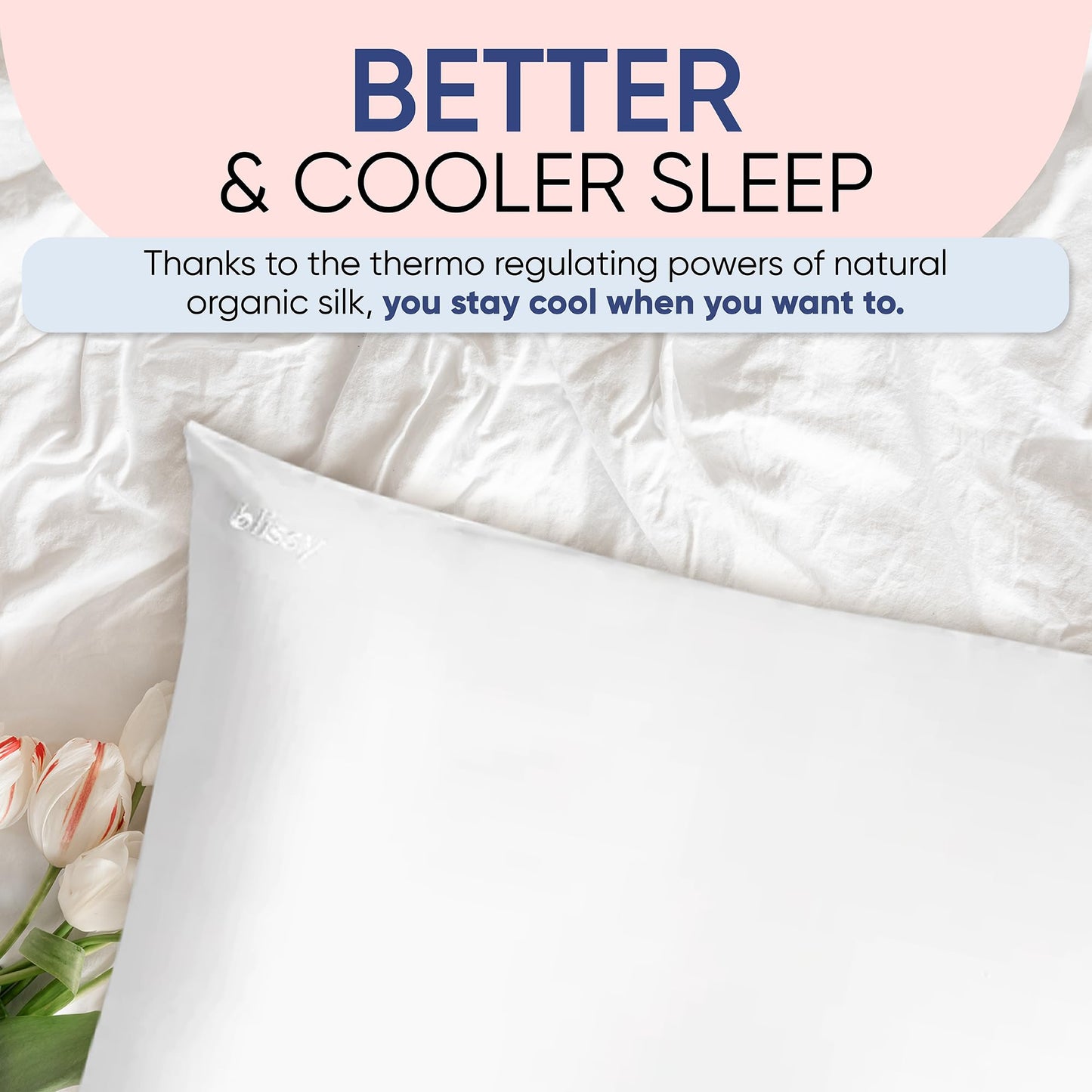 Blissy Silk Pillowcase - 100% Pure Mulberry Silk - 22 Momme 6A High-Grade Fibers - Silk Pillow Cover for Hair & Skin - Regular, Queen & King (Blissy White, Queen)