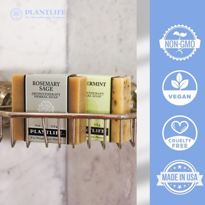 Plantlife Cassia Clove 6-pack Bar Soap - Moisturizing and Soothing Soap for Your Skin - Hand Crafted Using Plant-Based Ingredients - Made in California 4oz Bar