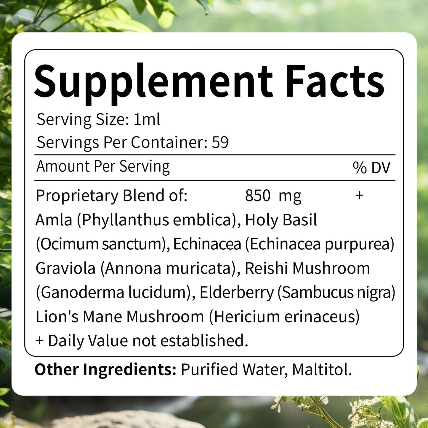 PranaBloom Amla Extract Drops 2oz for Immune Support, Fast-Absorbing Liquid Alternative to Capsules & Powder, Indian Gooseberry Fruit Natural Vitamin C Supplement for Liver & Gut Detox with Elderberry