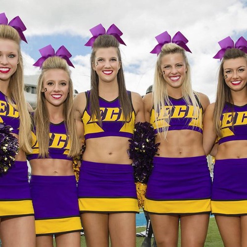 CN 30PCS 8" Large Cheer Bows, Cheerleading Bows Ponytail Holder for Girls, Grosgrain Ribbon Purple Cheer Hair Bows with Elastic Hair Tie for Cheerleader College Sports Softball Competition