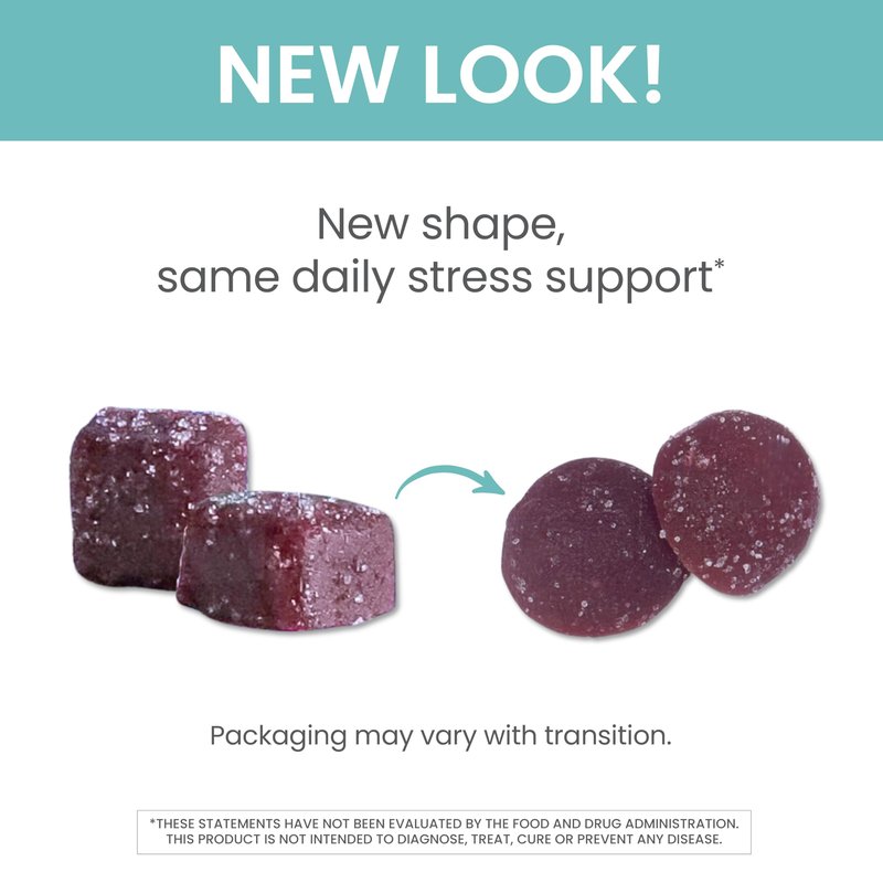 Himalaya KSM-66 Organic Ashwagandha Gummies, Ashwagandha Supplements to Help with Stress Relief, Energy and Relaxation, Ashwagandha Gummies for Women and Men, Delicious BlackBerry Flavor, 60 Gummies