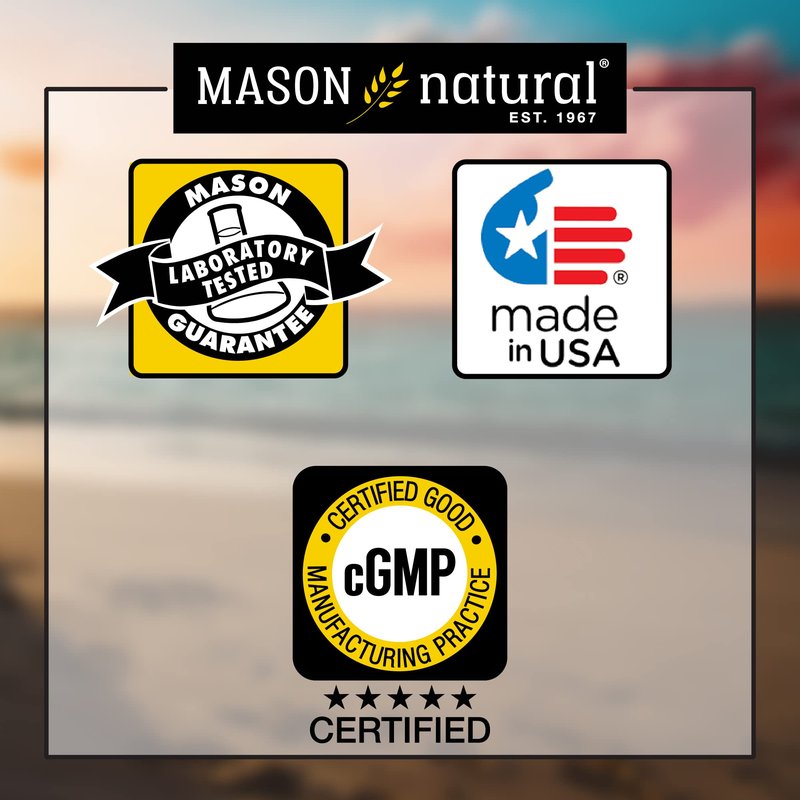 MASON NATURAL Neuro Complex with Alpha Lipoic Acid & Vitamin B12, Suitable for Vegetarians, 100 Tablets