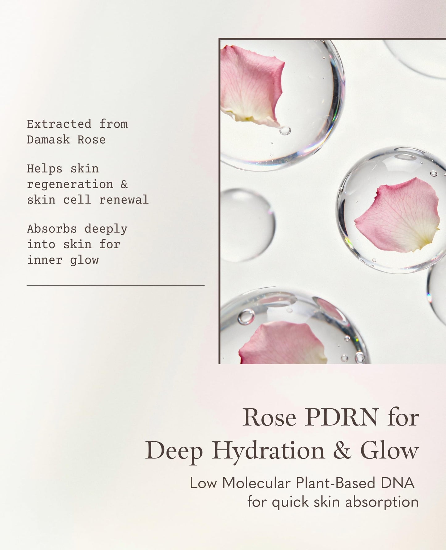GARDENY Korean Skincare Set | 3-step K-Beauty Routine Kit | Cleansing Balm, Mask-to-Foam Cleanser & Hydrating Mist Toner | Rose PDRN Technology | Travel Size 1.01 fl. oz Each