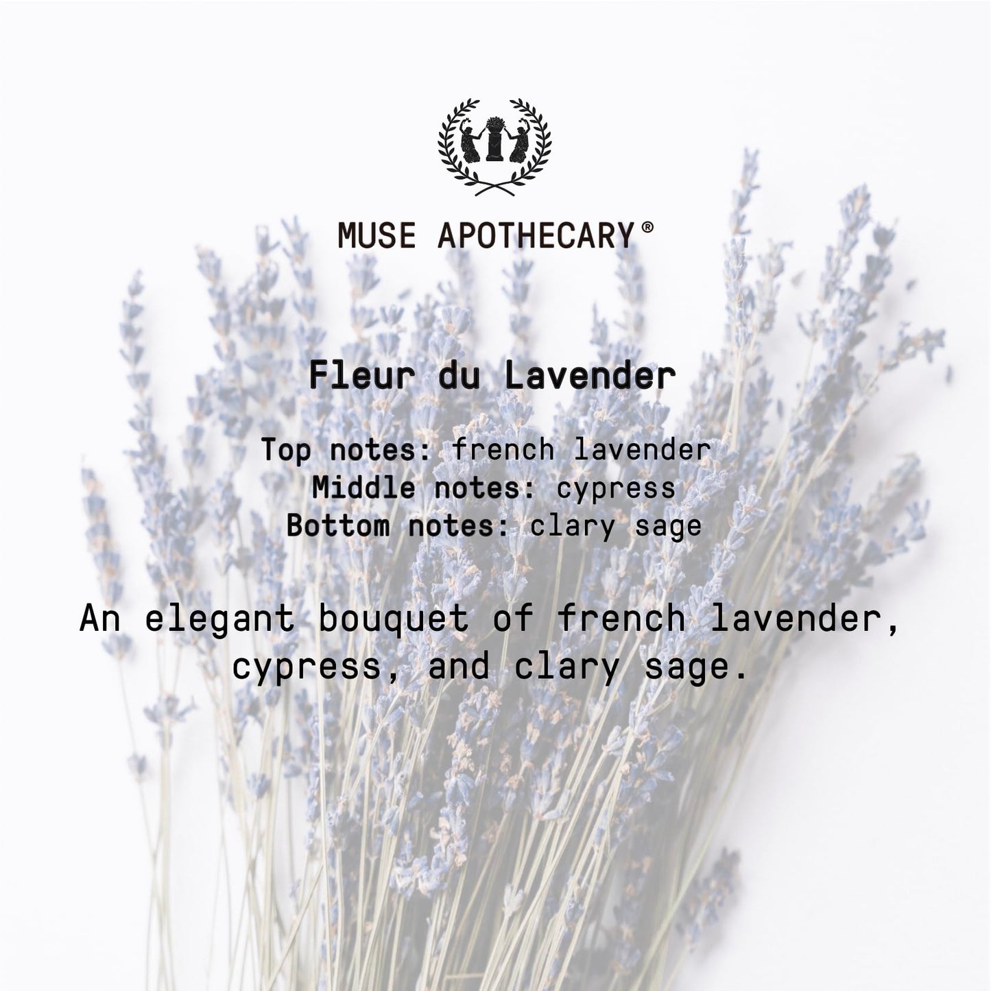 Muse Apothecary Hand Ritual - Aromatic and Nourishing Hand Soap, Infused with Natural Aromatherapy Essential Oils - USDA Certified Biobased - 16 oz, Fleur du Lavender, 3 Pack