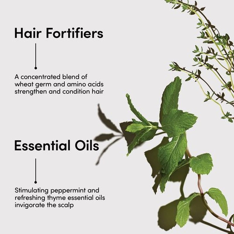 LATHER Mint Thyme Conditioner - Light Weight & Non-Greasy Crème Rinse Formula - Gentle Daily Hair Detangler Conditioner for Fine & Oily Hair - Sulfate Free - 8 Fl Oz Bottle