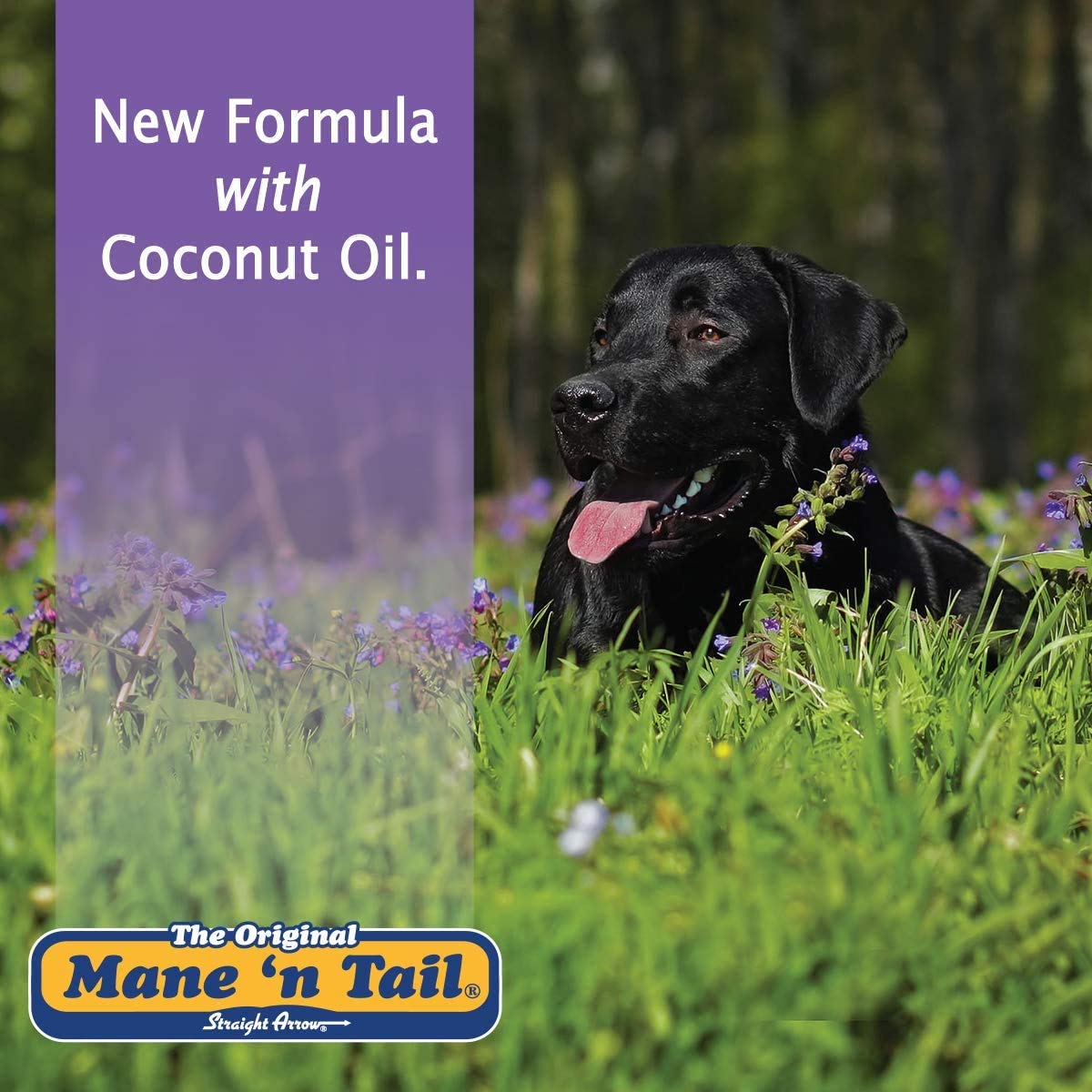 Mane 'n Tail Ultimate Gloss Combo Set (16 Oz) – Shampoo & Conditioner for Long-Lasting Shine, Softness, and Volume for Horses' Coat, Mane & Tail