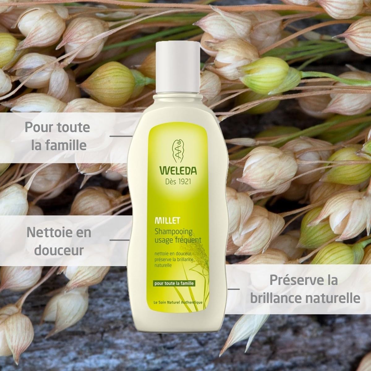 Millet Nourishing Shampoo by Weleda - 6.4 oz for Healthy, Shiny Hair