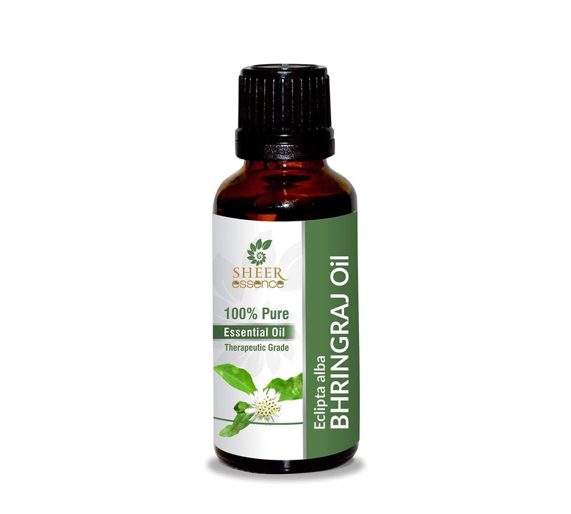 Bhringraj Oil -(Eclipta Alba)- 100% Pure Natural Undiluted Uncut Therapeutic Grade Oil 0.33 FL.OZ