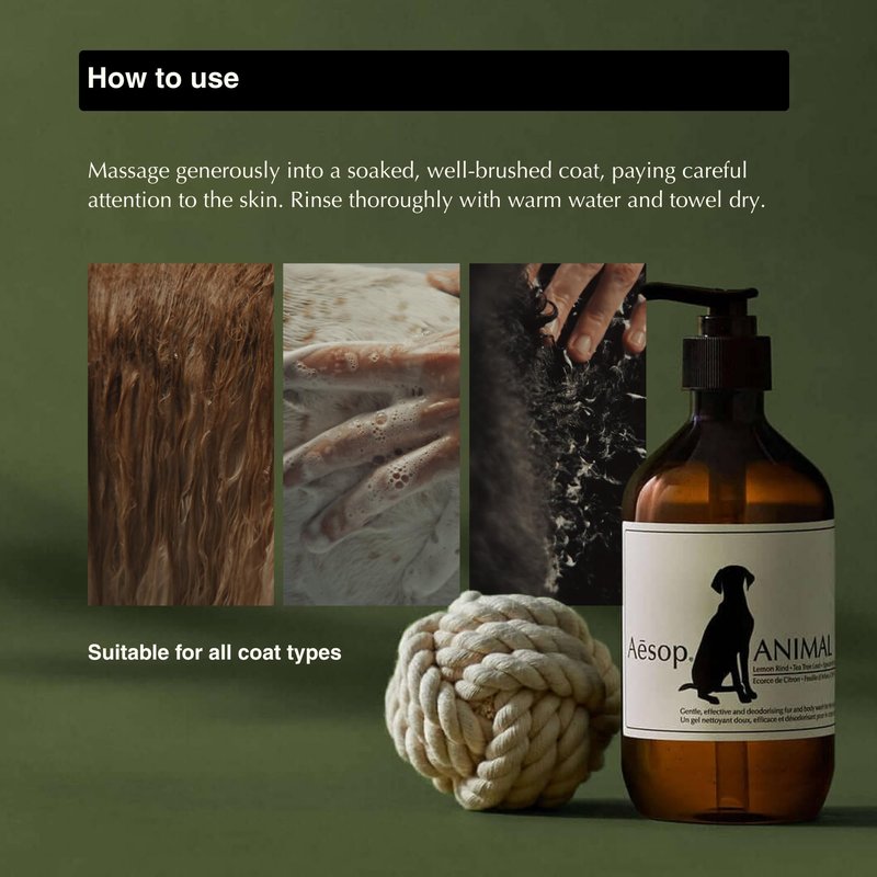 Aesop Pet Shampoo | Mild Dog Shampoo and Coat Wash that Gently Cleanses and Calms Skin with Odor Control | Fresh and Citrus Scent | Vegan, Paraben, & Cruelty Free | 16.9 oz