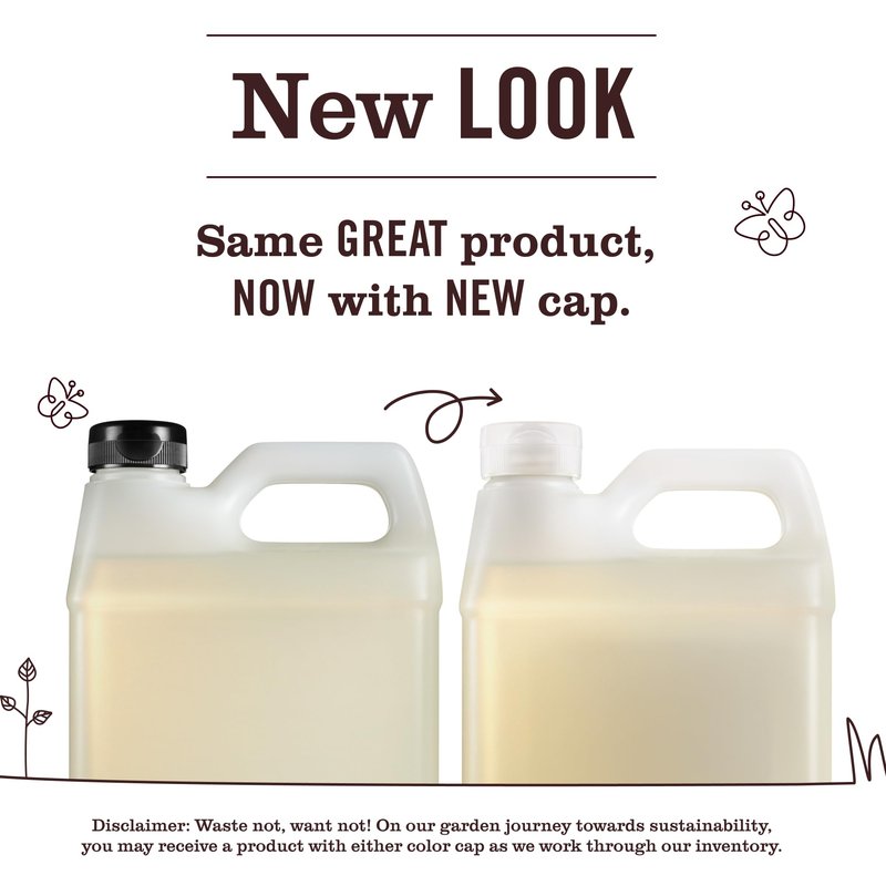 MRS. MEYER'S CLEAN DAY Hand Soap Refill, Oat Blossom Scent, 33 Fl Oz Bottle