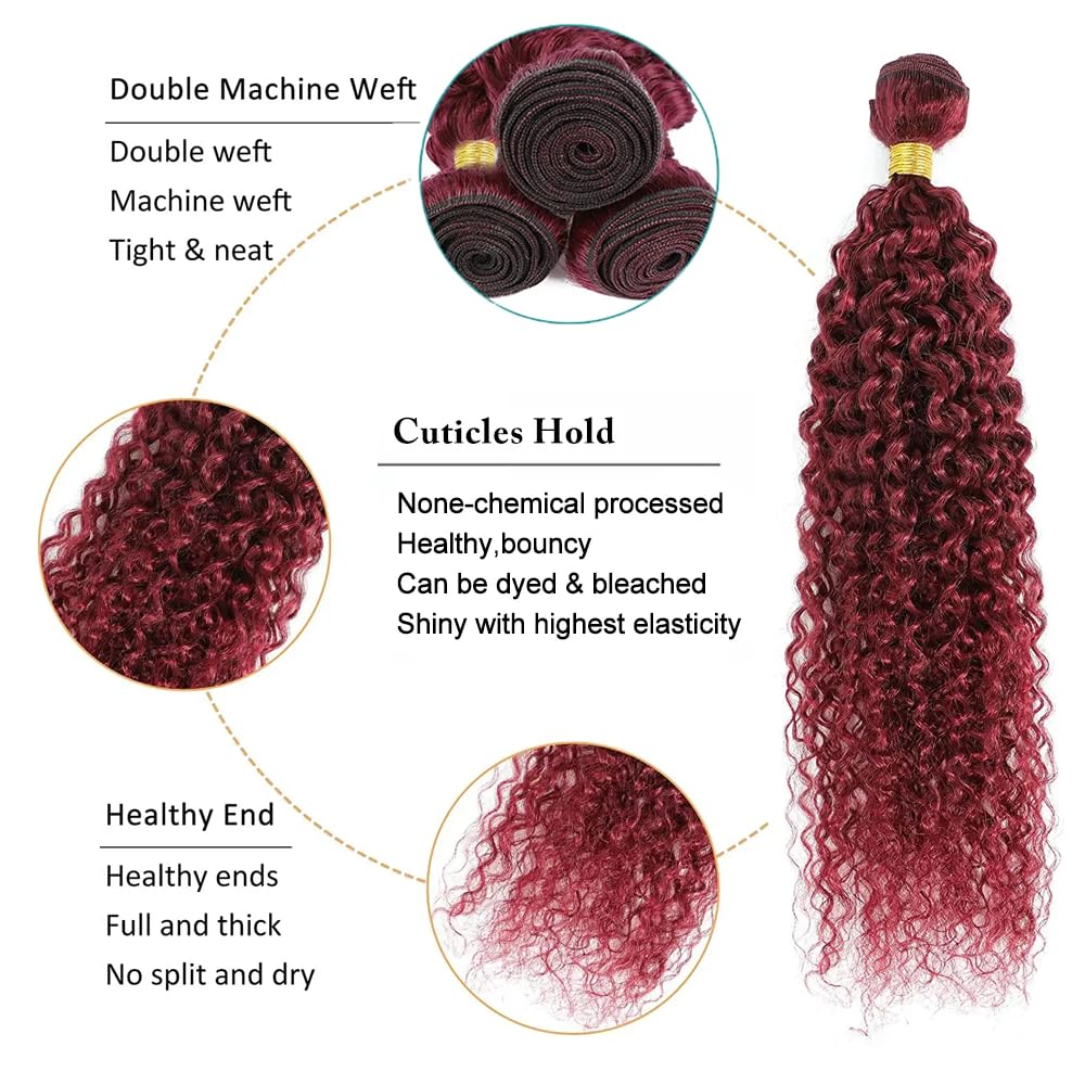 18 20 22 Inch Vinmdonm 99J Human Hair Bundles Burgundy Kinky Curly Human Hair Bundles Brazilian Red Bundles Human Hair Unprocessed Virgin Hair 3 Bundles 99J Kinky Curly Bundles Hair Weave