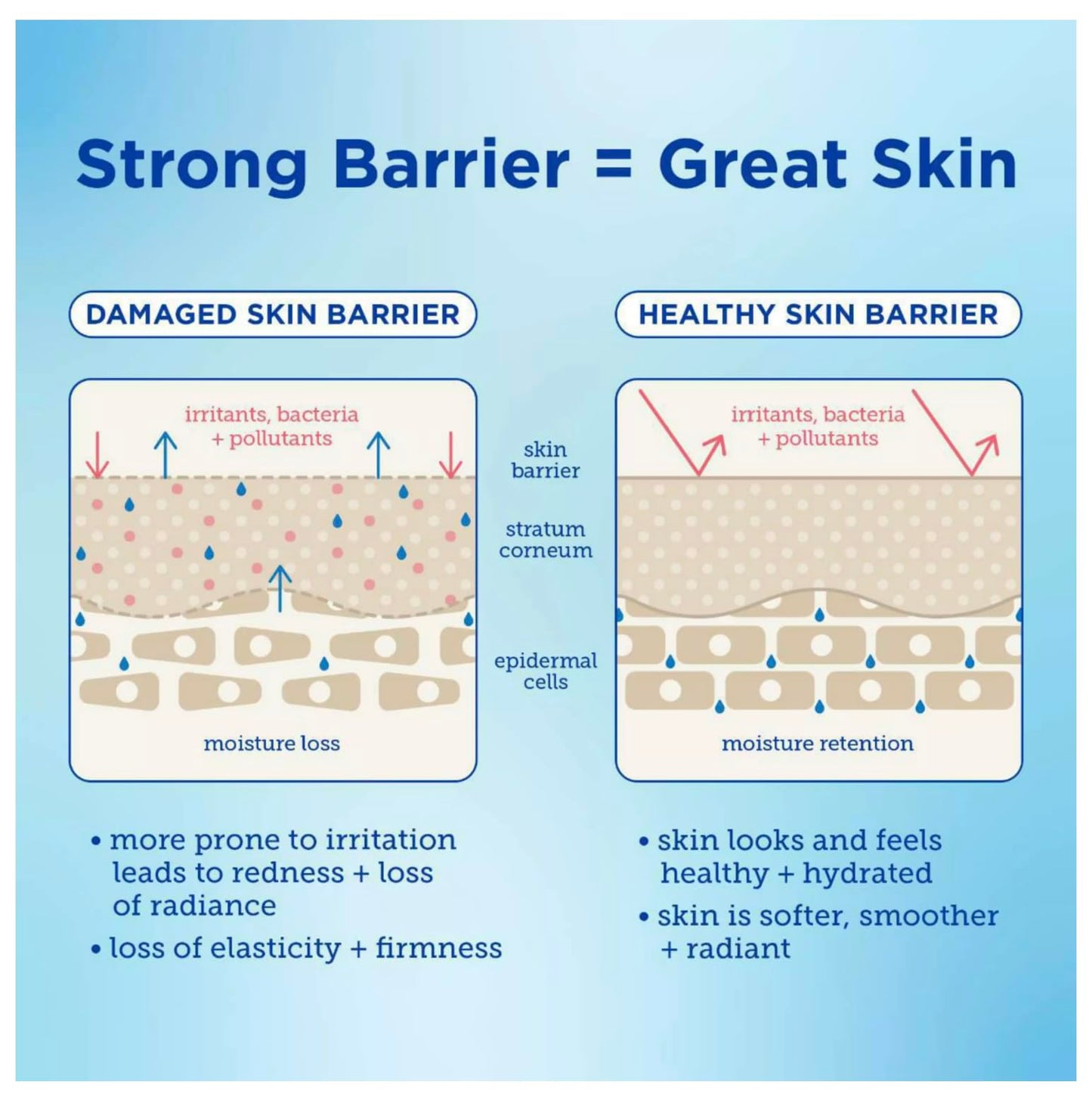 Barrier+ Barrier Buddies Heavy Hitters