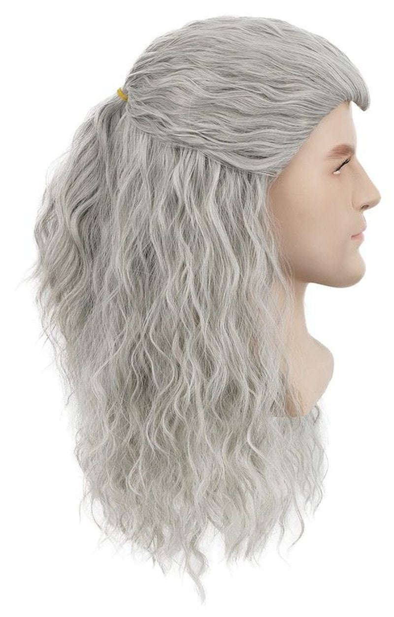 yuehong Men Long Gray Wavy Cosplay Wig Halloween Curly Hair Party Wig Heat Resistant Anime Wigs