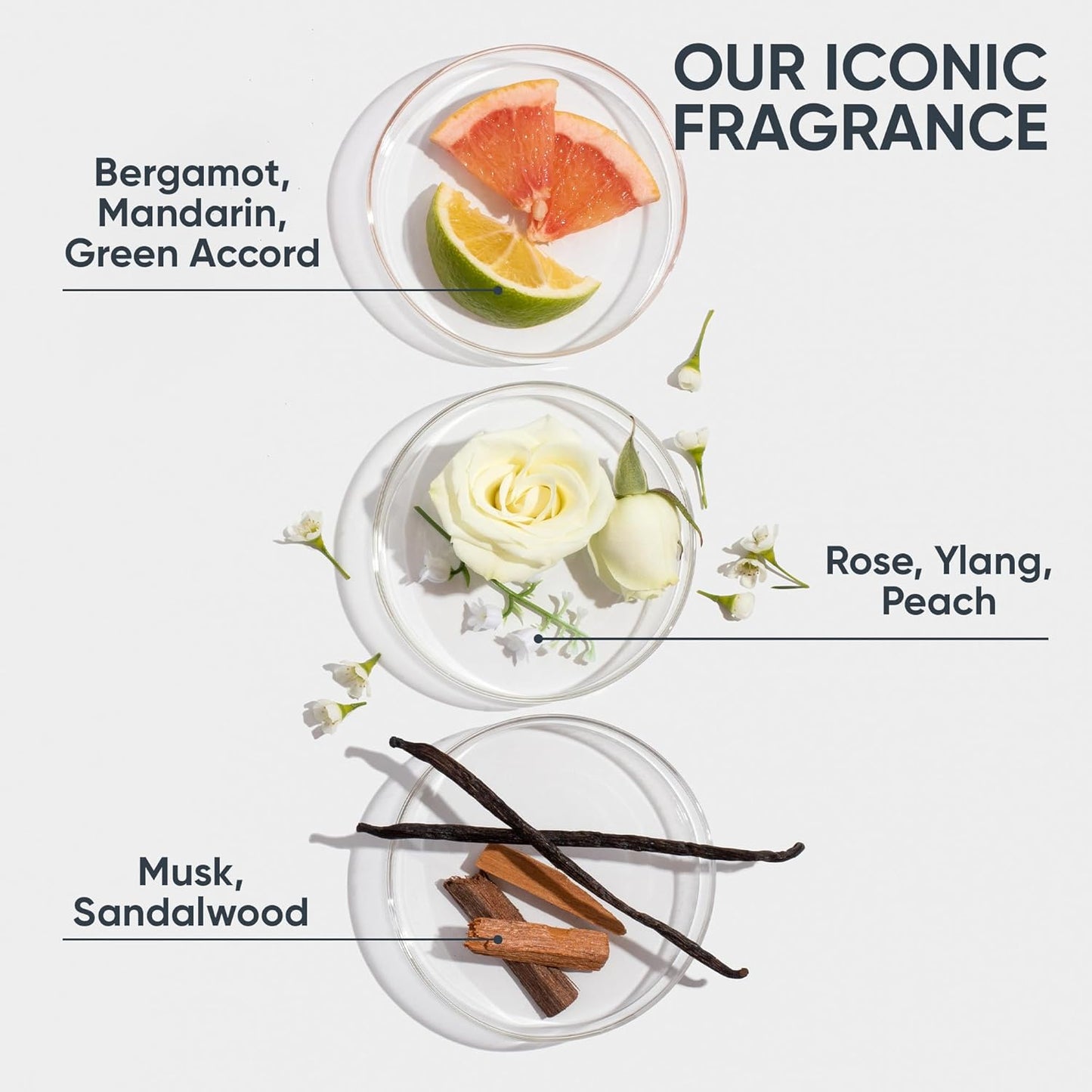Biolage Bond Therapy Conditioning Foam - Builds Bonds & Reduces Breakage, Paraben & Sulfate-Free, Salon Professional Conditioner