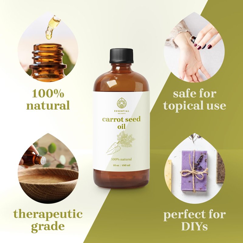 Essential Delights Carrot Seed Carrier Oil Premium Undiluted Carrier Oil | for Skin, Face, Body, Hair Revitalization | Vegan & Cruelty Free (16 Fl.Oz.)