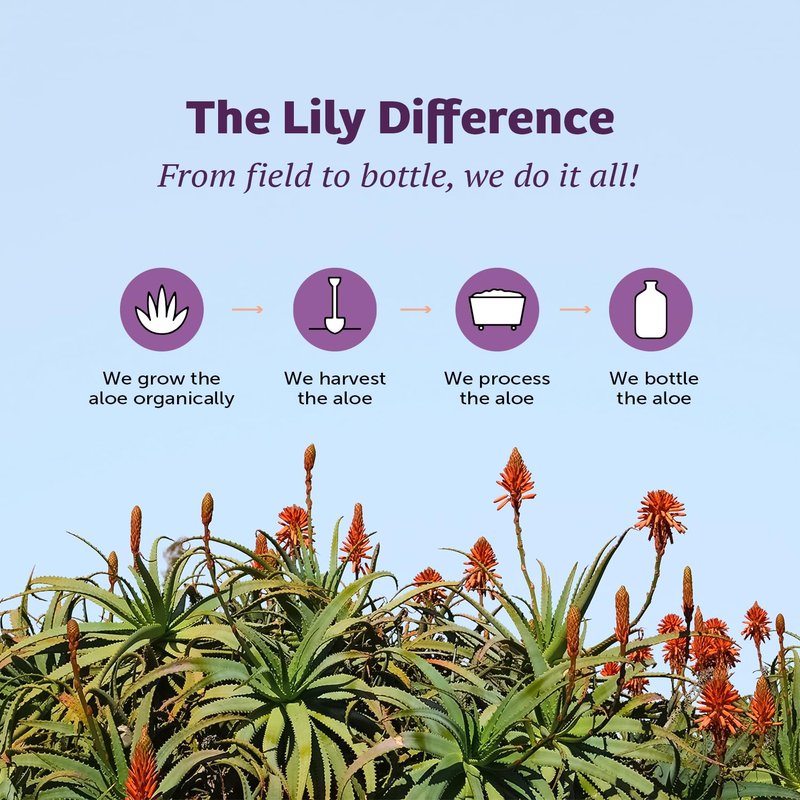 Lily Of The Desert Aloe Vera Gel, Preservative Free - Whole Leaf Filtered Thicker Consistency Aloe Vera Drink with Natural Vitamins, Digestive Enzymes for Gut Health, Wellness, Glowing Skin, 32 Fl Oz