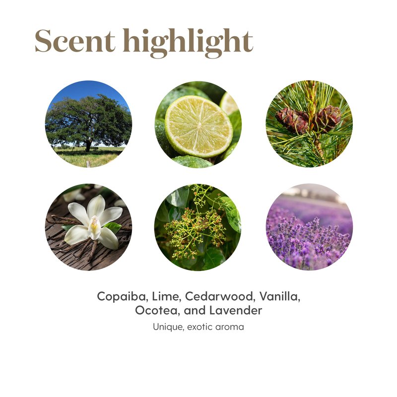 Young Living Stress Away Essential Oil Blend | 5 ml | Sweet Lime & Vanilla Aromatherapy Oil for Diffusers, Massage & DIY Blends | Relaxing Fragrance for Home, Office & Everyday Aromatic Use