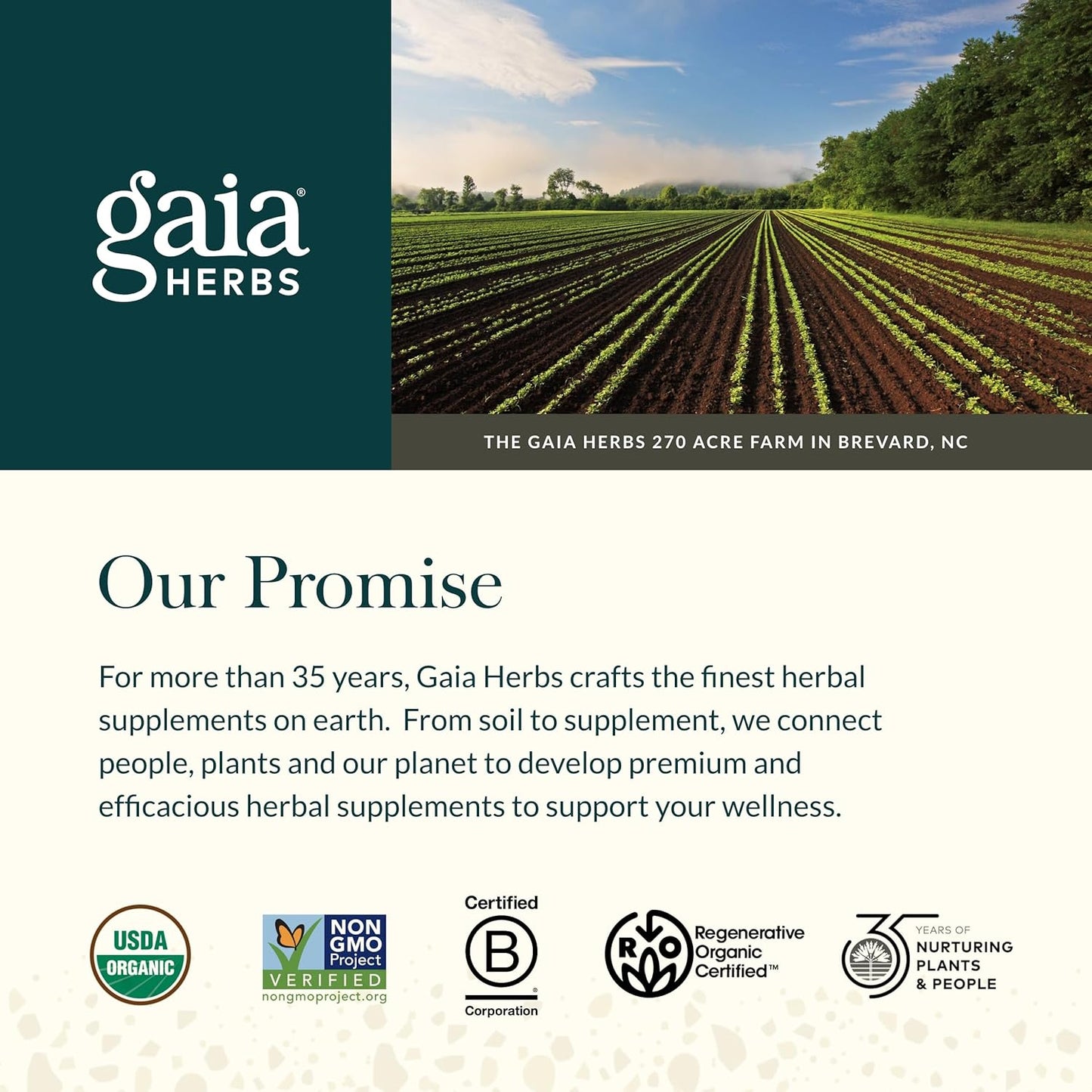 Gaia Herbs Ashwagandha Root - Made with Organic Ashwagandha Root to Help Support a Healthy Response to Stress, The Immune System, and Restful Sleep - 60 Vegan Liquid Phyto-Capsules (30-Day Supply)