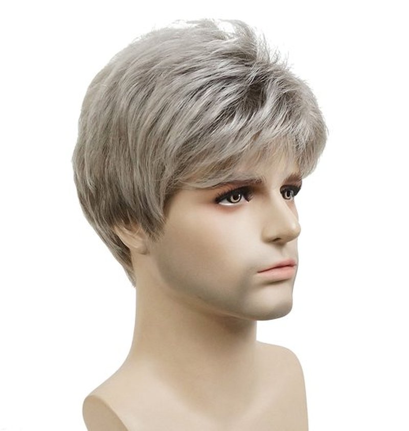 Lydell Men Wig Natural Short Straight Hair Synthetic Full Wigs (48T Light Gray with Dark Root)