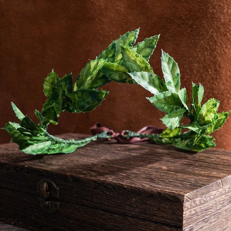 MOSTORY Green Leaf Laurel Crown - Handmade Wooland Greek Leaf Headpiece Forest Emperor Circlet for Men King Adult Renaissance Halloween Renfaire Cosplay Medieval Toga Costume
