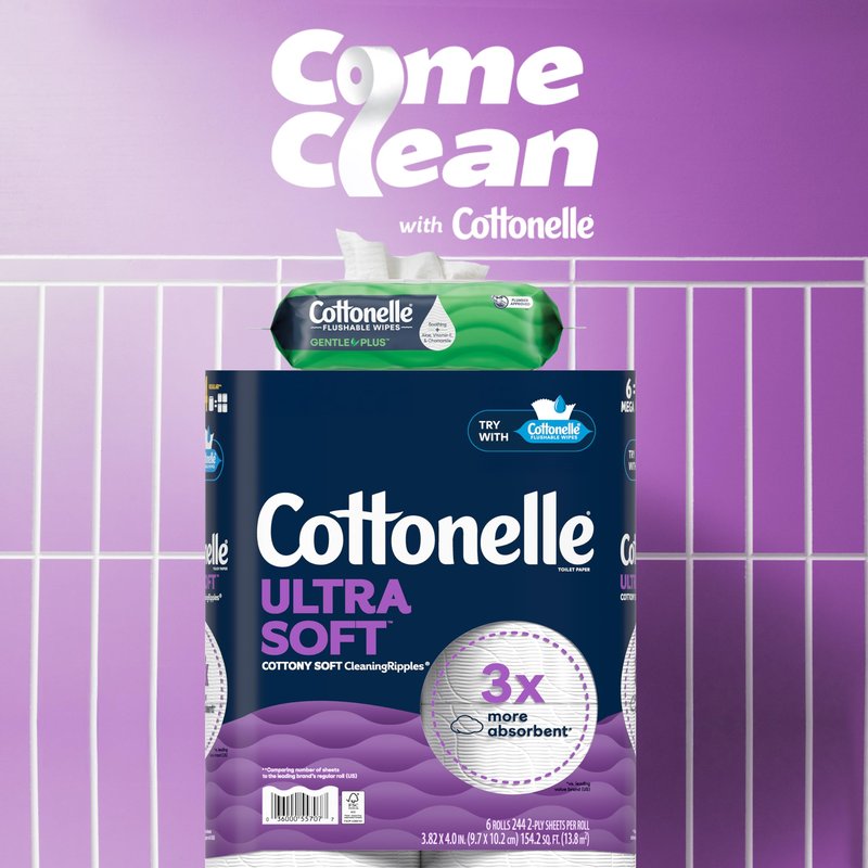 Cottonelle GentlePlus Flushable Wet Wipes with Aloe & Vitamin E, 16 Flip-Top Packs, 42 Wipes Per Pack (672 Total Wipes), Packaging May Vary