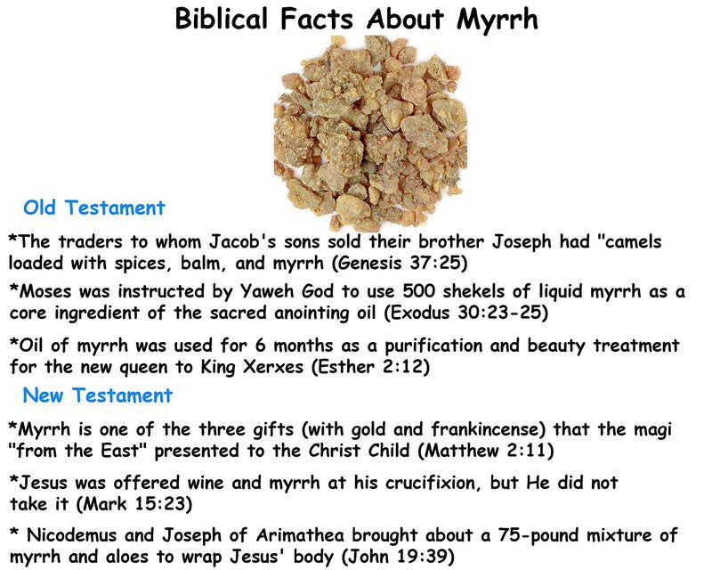 BIBLE N Beautyoils Queen Esther Myrrh Beauty Face Oil, Myrrh-Infused Skincare Essential Oils, Rosehip, Argan, Seabuckthorn, Pomegranate Seed Face Oil for Radiant Skin, 1.0 Fl Oz (Natural Nutty)