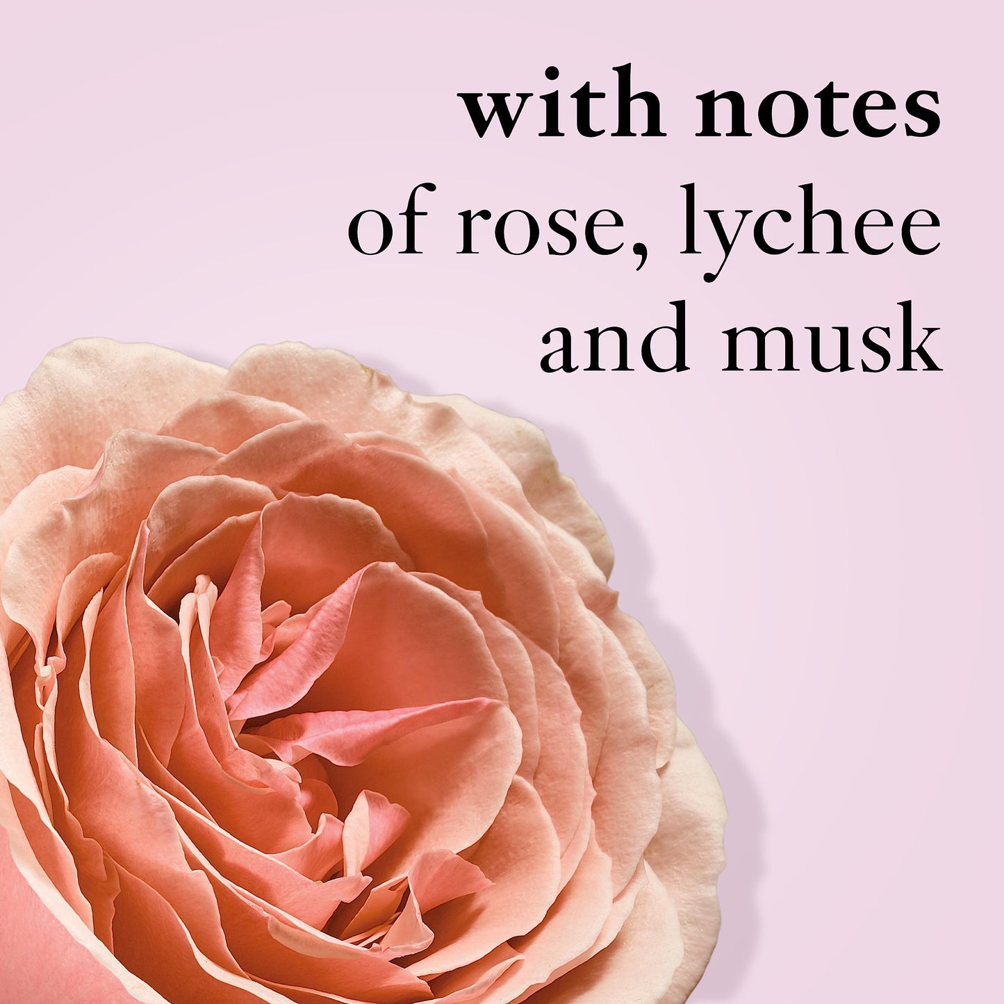 philosophy amazing grace ballet rose eau de toilette, 0.5 oz