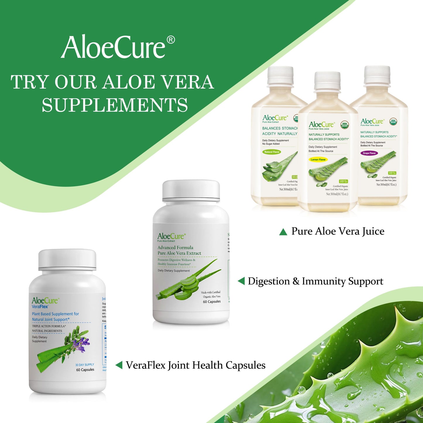 AloeCure USDA Organic Aloe Vera Juice Lemon Flavor - Made Within 12 Hours of Harvest - Natural Digestive Supplement for Balanced Stomach Acidity - Support Digestive and Immune Health - 1 Btl x 16.7oz