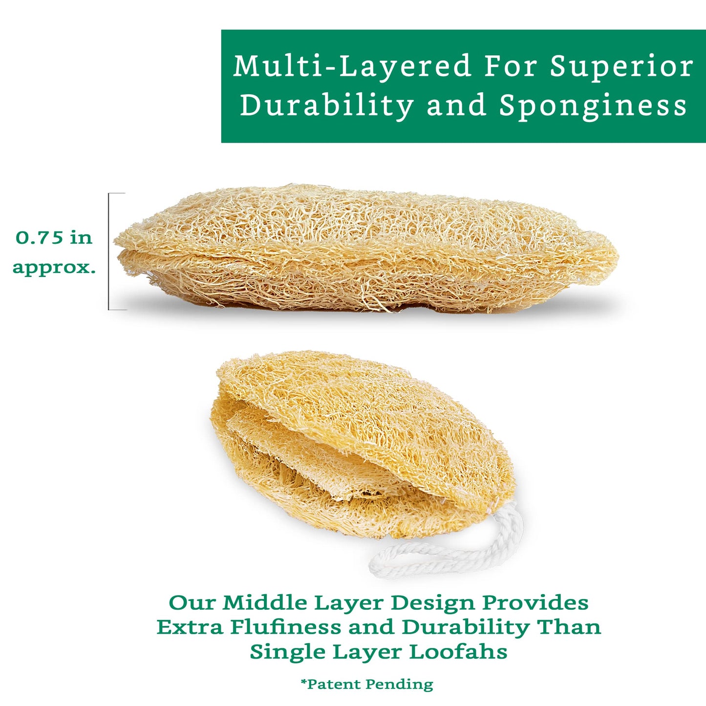 Natural Loofah Exfoliating Sponge (4 Pack) - Luffa Exfoliating Body Scrubber - Biodegradable Organic Loofah Sponge - Shower Luffa Sponges - Estropajos para el Cuerpo