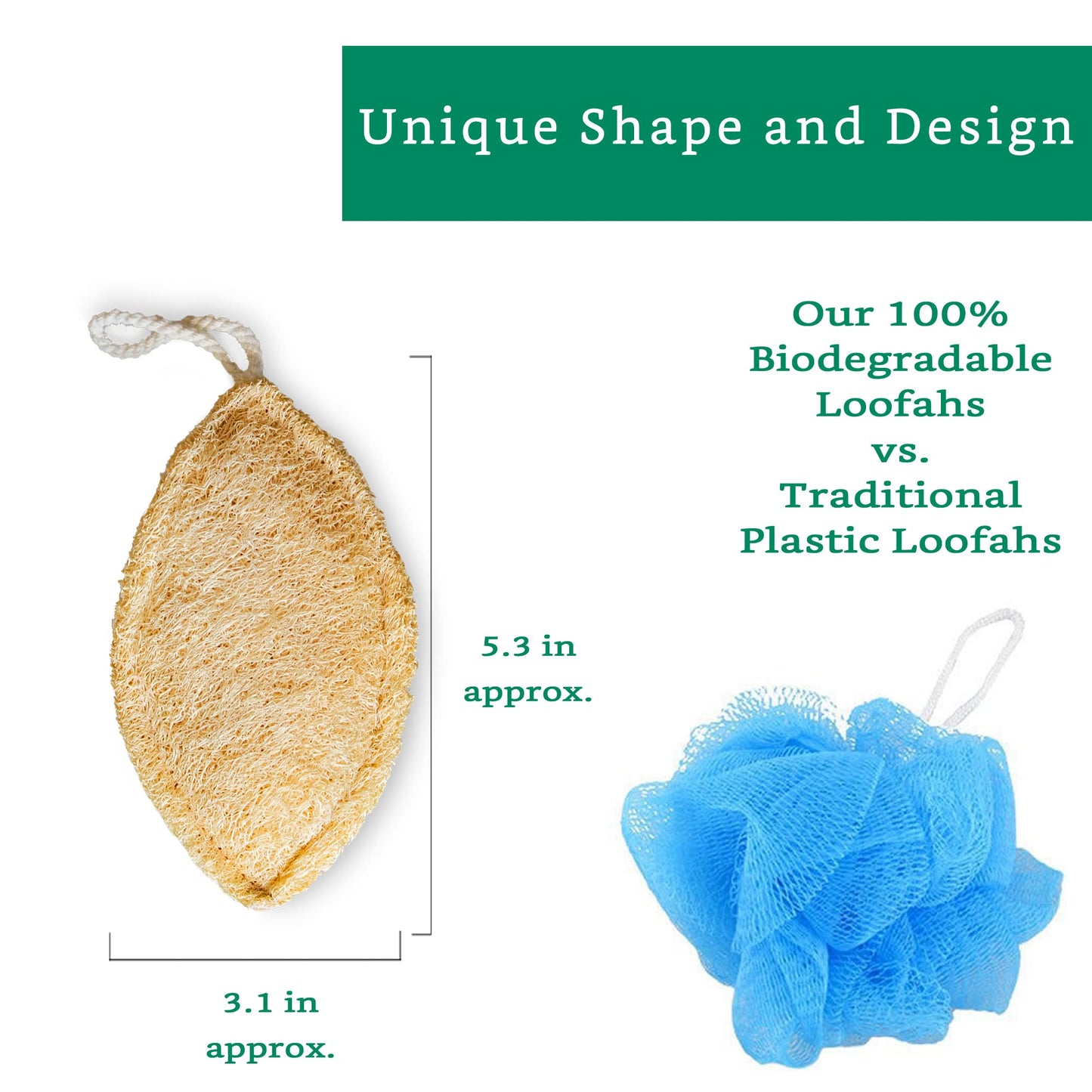 Natural Loofah Exfoliating Sponge (4 Pack) - Luffa Exfoliating Body Scrubber - Biodegradable Organic Loofah Sponge - Shower Luffa Sponges - Estropajos para el Cuerpo