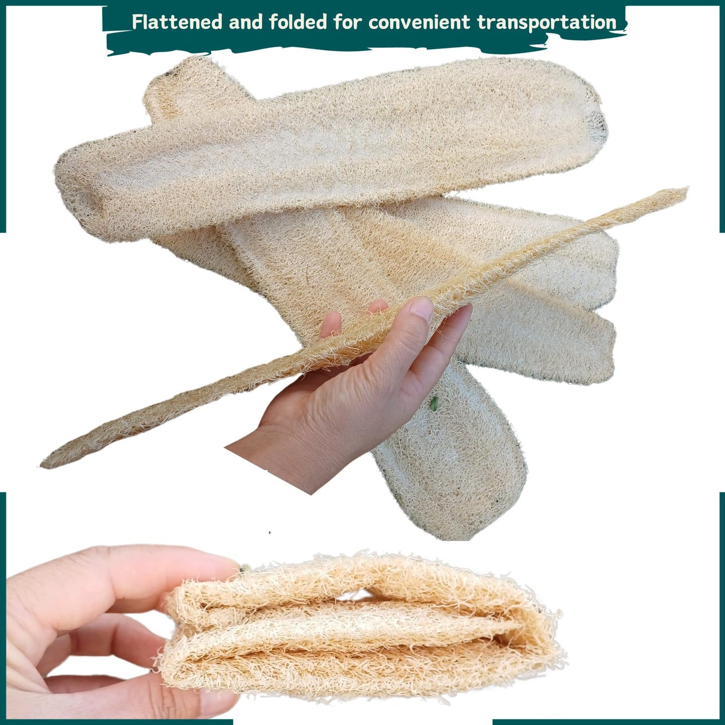 5 Pcs (14 – 16 Inches) Natural Loofah Sponge | Organic Loofah | Shower Loofah Exfoliating Body Scrubber | Bath for Loofah for Men and Women | (5 - Pack)