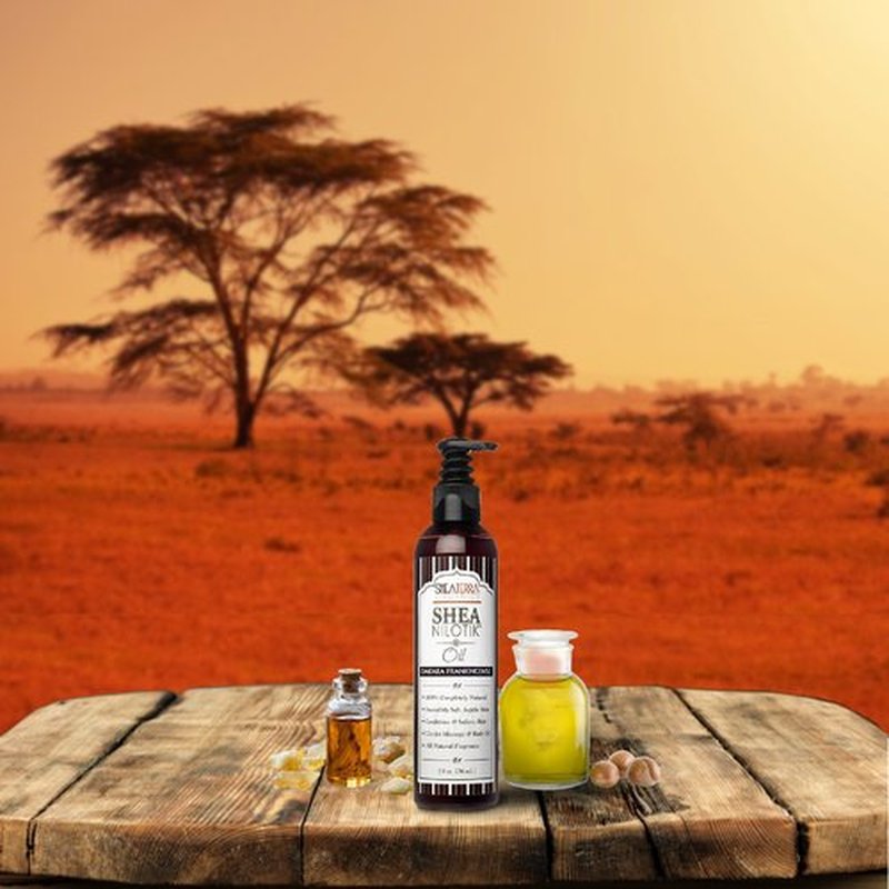 Shea Terra Organics Shea Nilotik’ Oil Scented With Dakara Frankincense |Natural Daily Skin Moisturizer & Conditioner - 8 oz