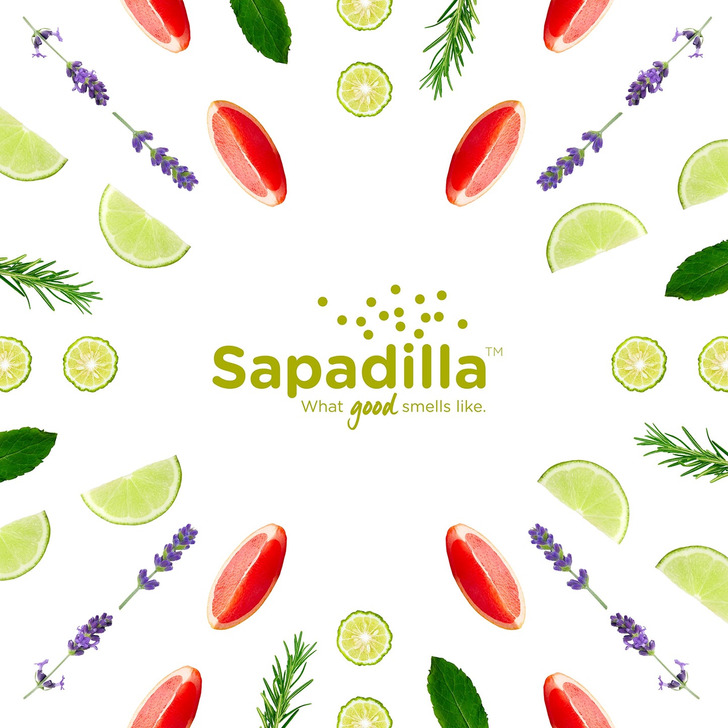 Sapadilla Multi-Surface Countertop Spray - Rosemary + Peppermint - Made with 100% Pure Essential Oil Blends, Multi-Purpose Household Cleaner, Aromatic, Plant Based, Biodegradable, 16 Ounce (Pack of 1)