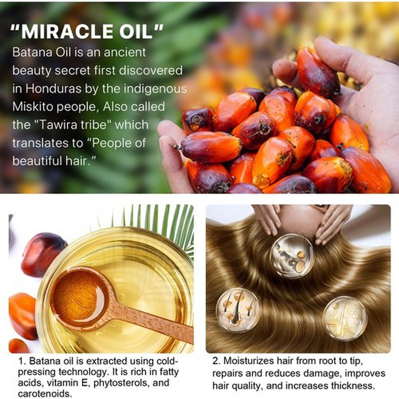 Raw Batana Oil for Hair Growth - 100% Natural Organic Hair Oils for Growth and Thickness from Honduras, Hair Loss Treatments for Black Women Men
