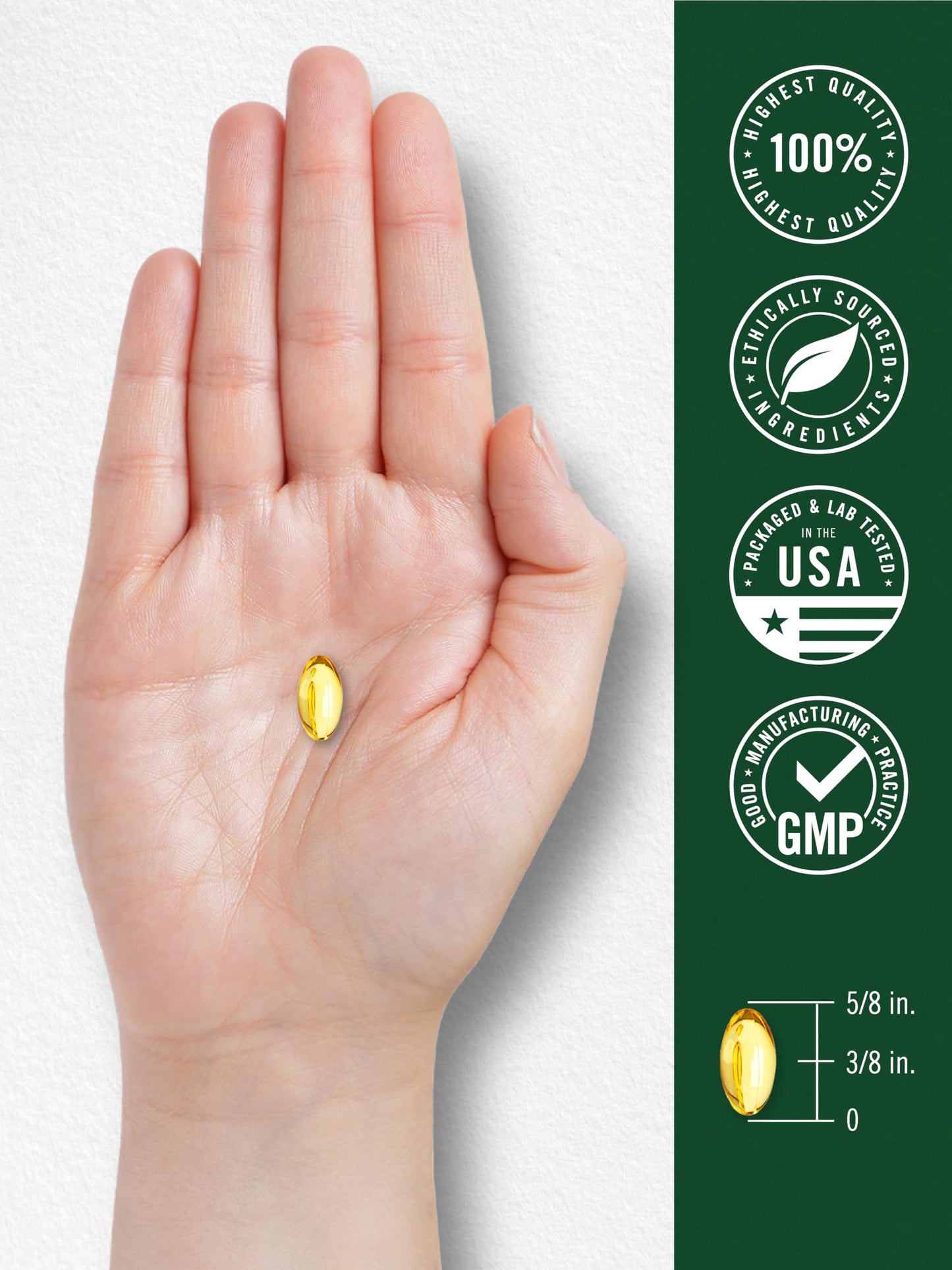 Carlyle Oregano Oil Supplement | 150 Softgel Capsules | Contains Carvacrol