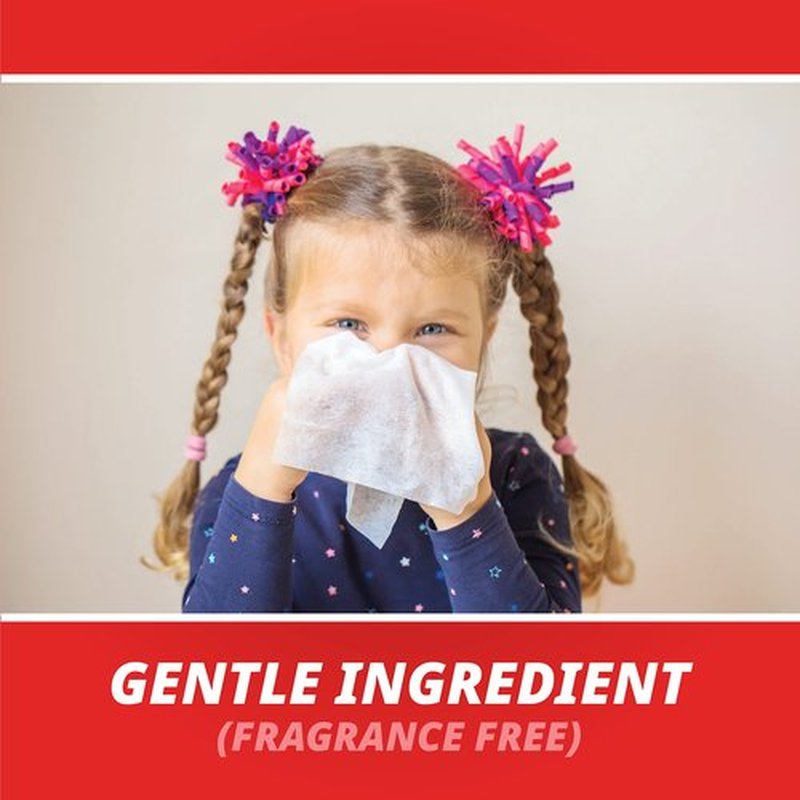 Refreshing Wet Wipes Travel Size Alcohol-Free Wipe Sanitizes/Cleans/Deodorizes Bulk Wipes (200 Wipes (20ct, 10pk))
