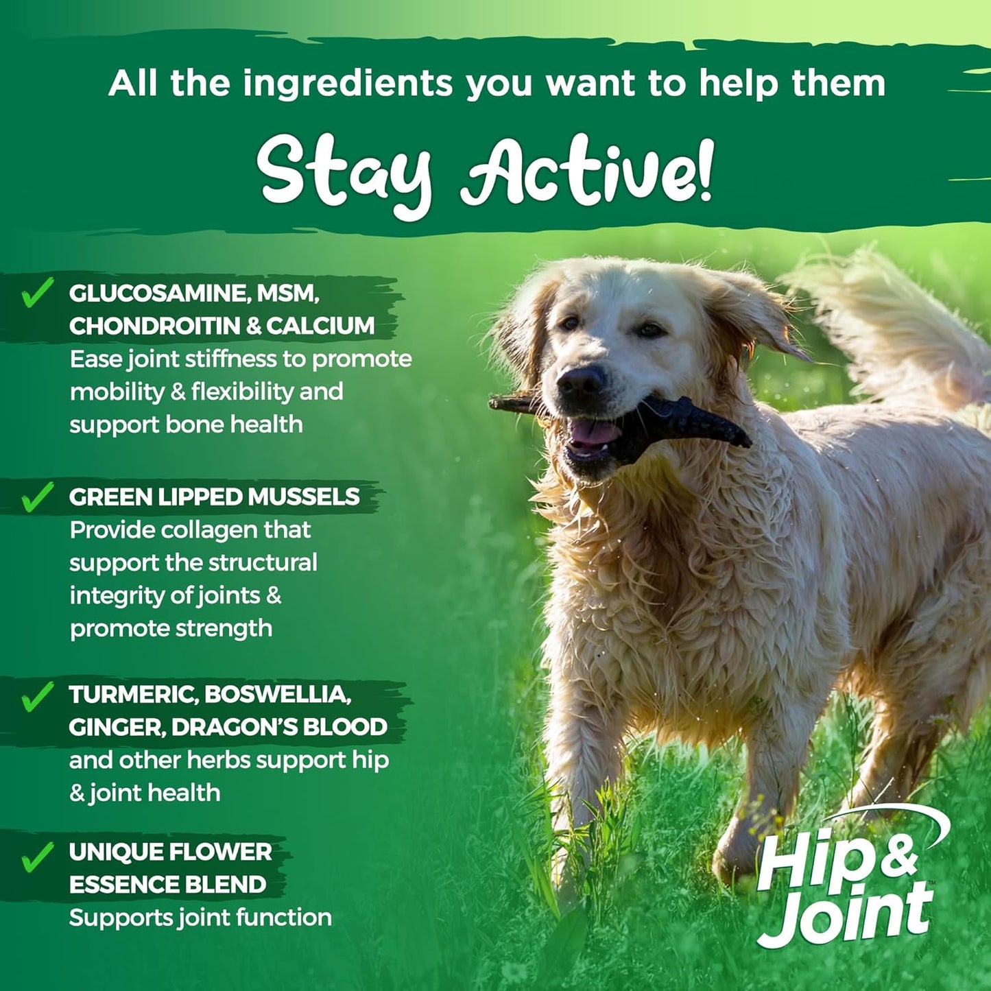 Natural Hip & Joint Supplement for Dogs - Herbal Blend with Green Lipped Mussel, MSM & Glucosamine - Beef Flavor (60 Chewable Tabs)