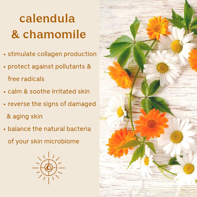 Anti-Aging Eye Cream — Plant Based Under Eye Treatment with Hyaluronic Acid, Ashwagandha, Calendula & Eyebright Botanicals — Solluna by Kimberly Snyder (0.5oz) Non-Toxic, Cruelty-Free, Vegan & Non-GMO