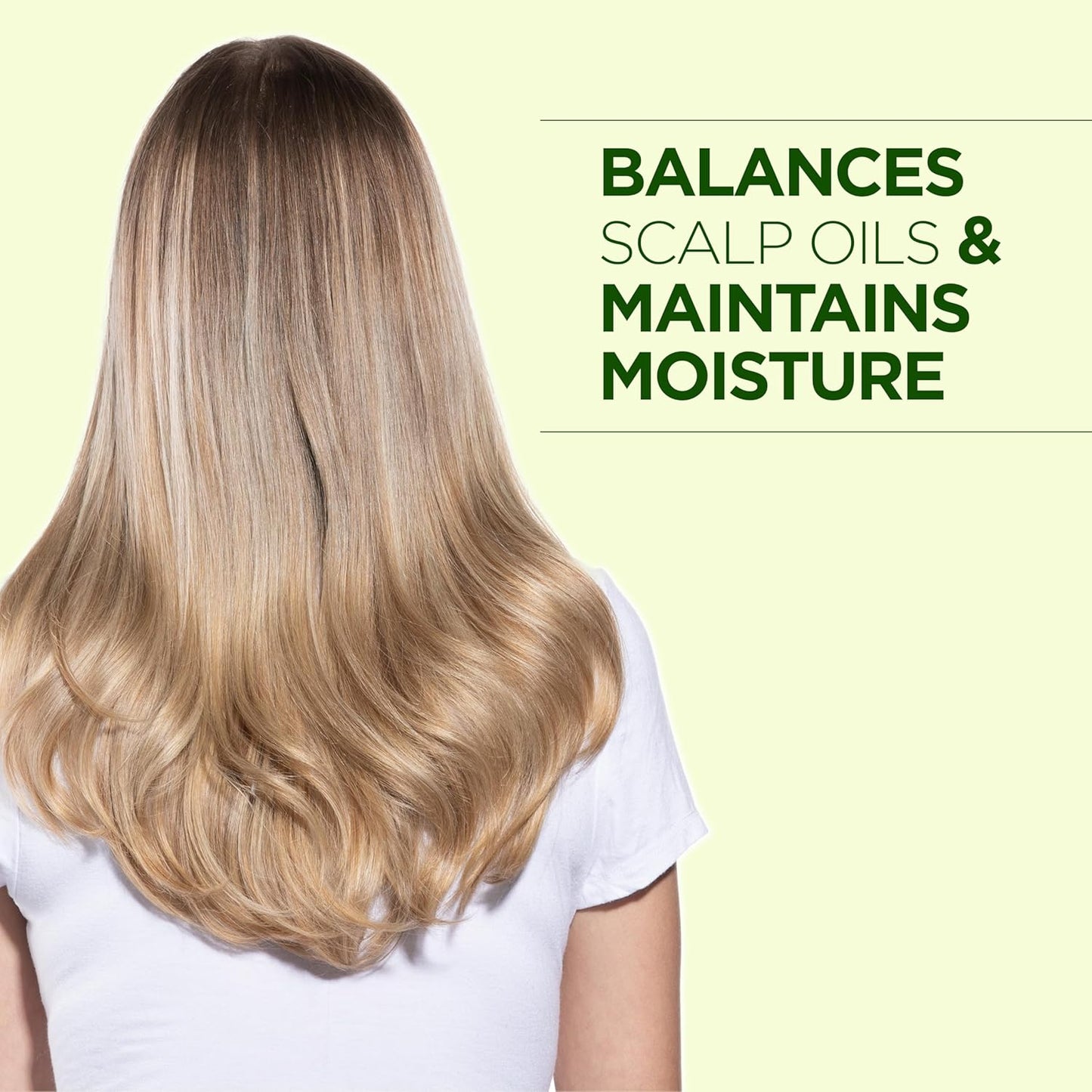 CHI Tea Tree Oil Shampoo, Strengthening Shampoo For Gently Cleansing Hair & Removing Impurities, Sulfate, Paraben, & Cruelty-Free, 25 Oz