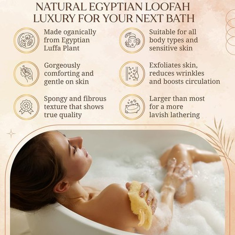 All Natural Loofah Sponge, Pack of 4 Real Egyptian Bath & Shower Exfoliating Loofa Scrubber Sponges for Face, Back & Body, Eco Friendly, No Toxic Chemicals, 6" x 6" by Crafts of Egypt