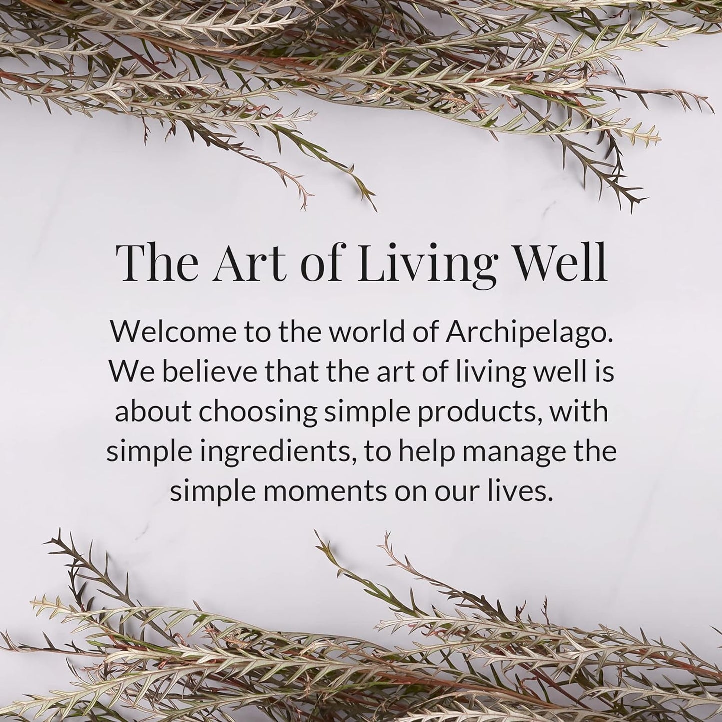 Archipelago Botanicals Kashmir Glass Jar Candle, Kashmir Vanilla, Orange Blossom and Sandalwood Scent, Lead-Free Candle Wicks, Burns Approx. 60 Hours (8.6 oz)