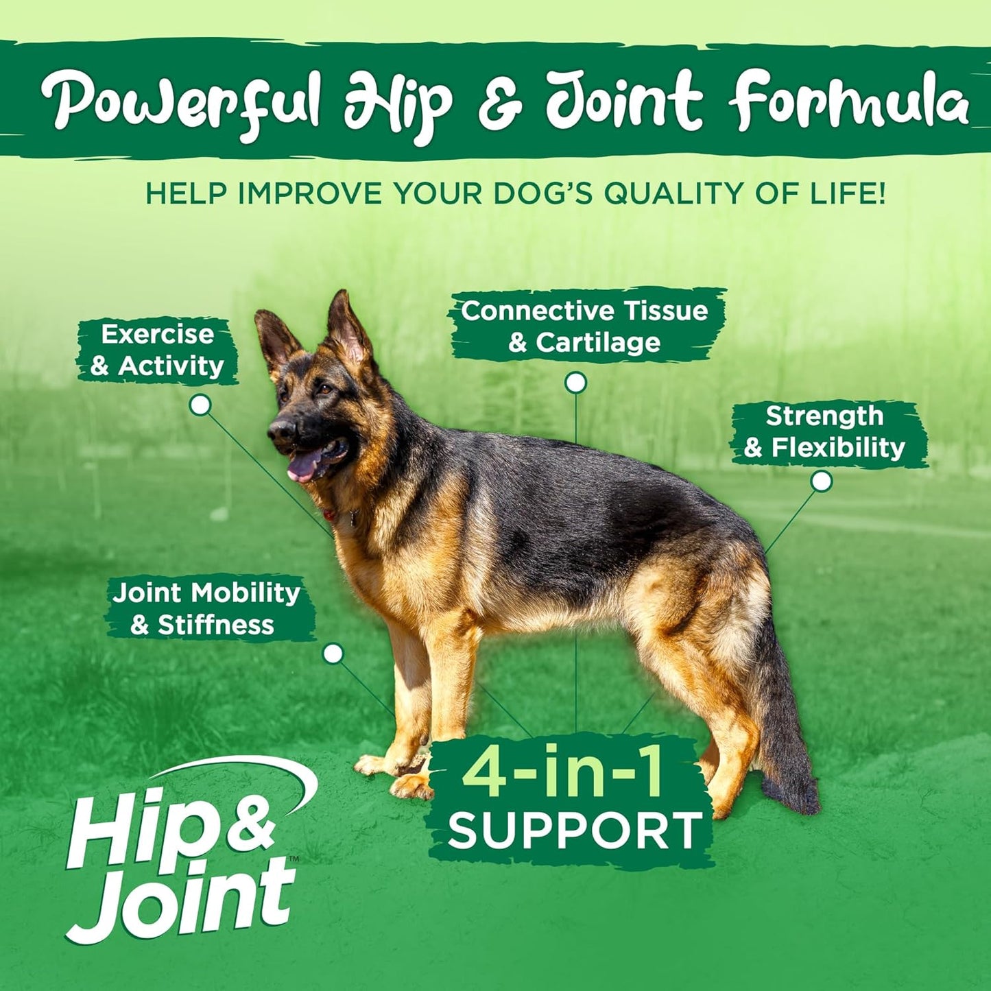 Natural Hip & Joint Supplement for Dogs - Herbal Blend with Green Lipped Mussel, MSM & Glucosamine - Beef Flavor (60 Chewable Tabs)